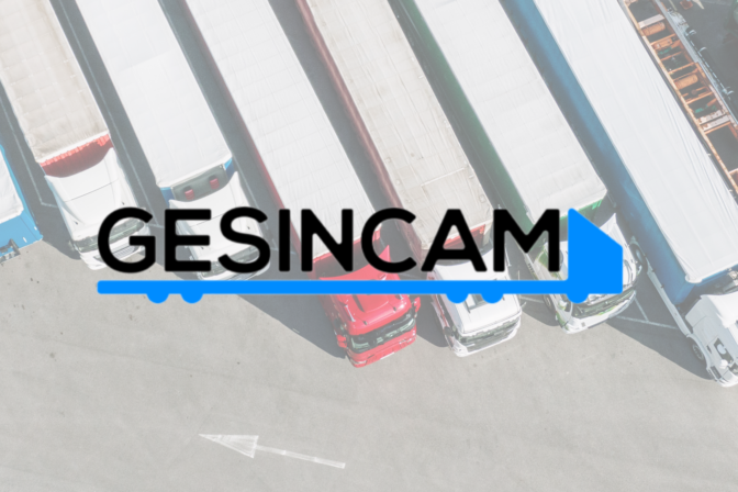 GESINCAM – AEI 2022b