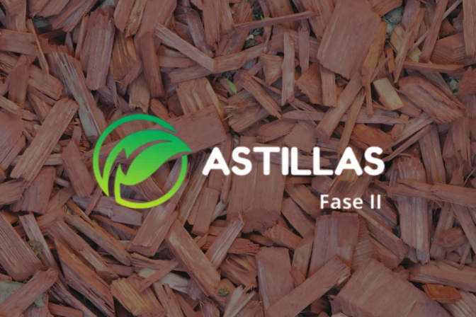 ASTILLAS II – AEI 2024