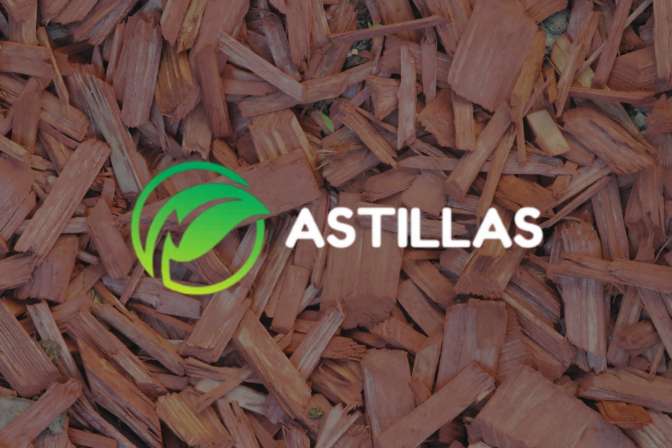 ASTILLAS – AEI 2023